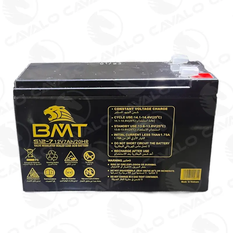 BATTERY 12