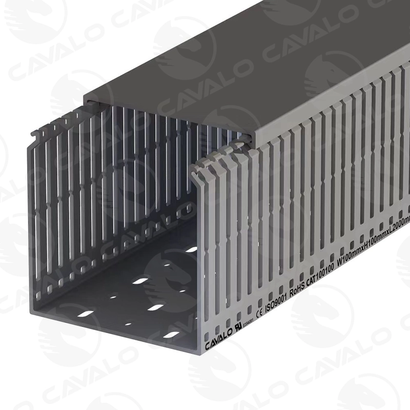CAV100100F