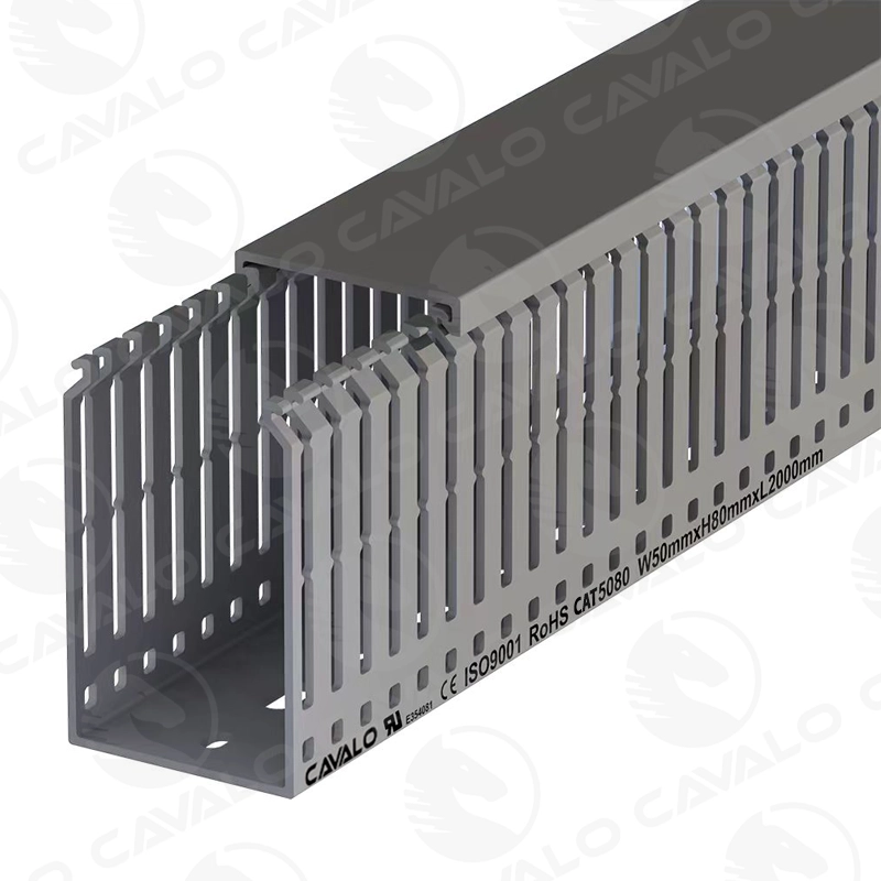 CAV5080F